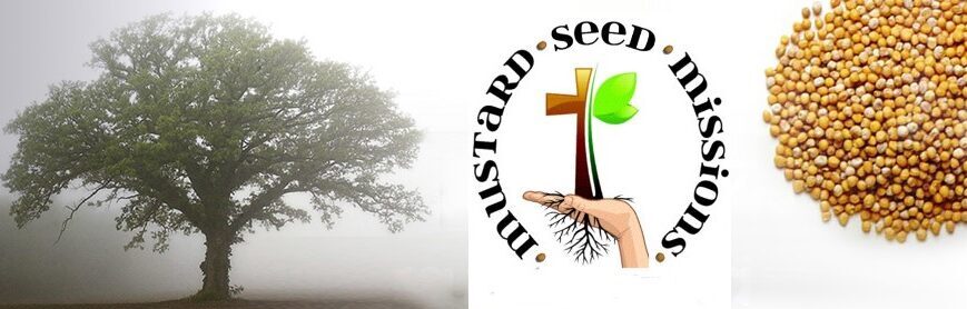 Mustard Seed Missions of Venango County